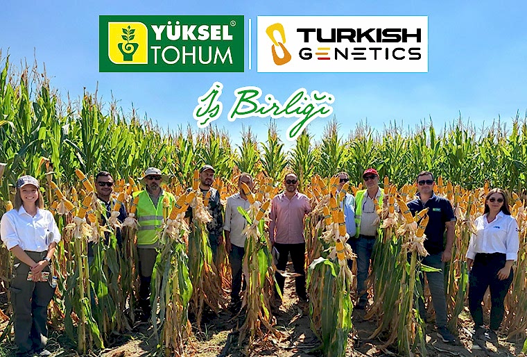 Yüksel Tohum ve Turkish Genetics İş Birliği!
