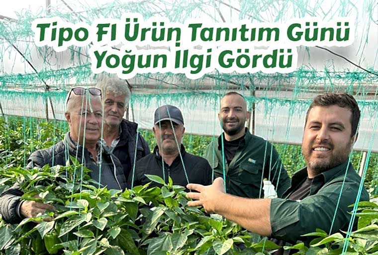 Yeni Çeşidimiz Tipo F1'in Ürün Tanıtım Günü Yoğun İlgi Gördü!