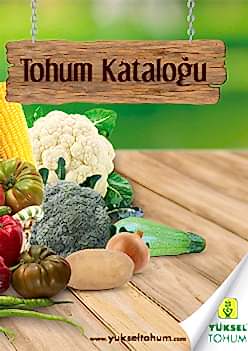 Yüksel Tohum Ürün Kataloğu