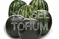 Karpuz Tohumu
